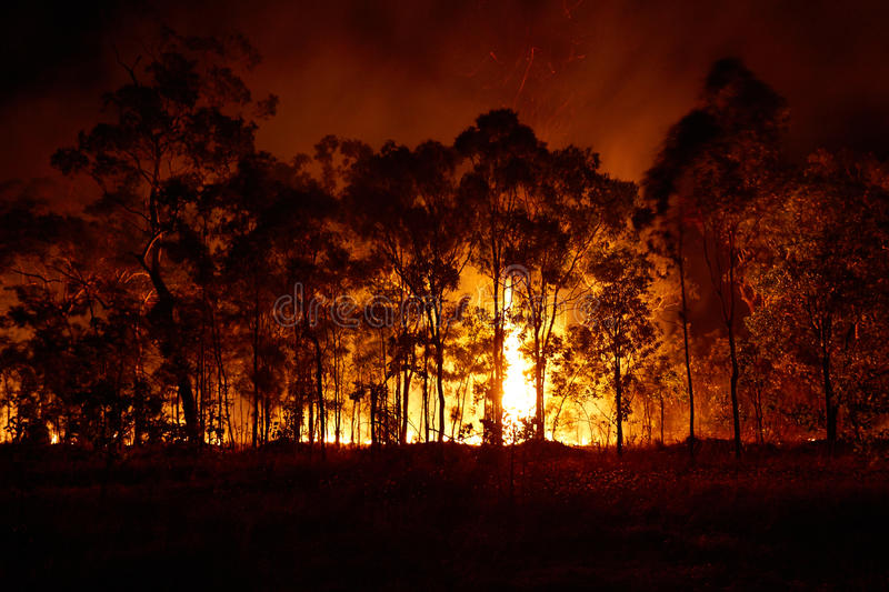 How quickly can I get my Building Permit after bushfire